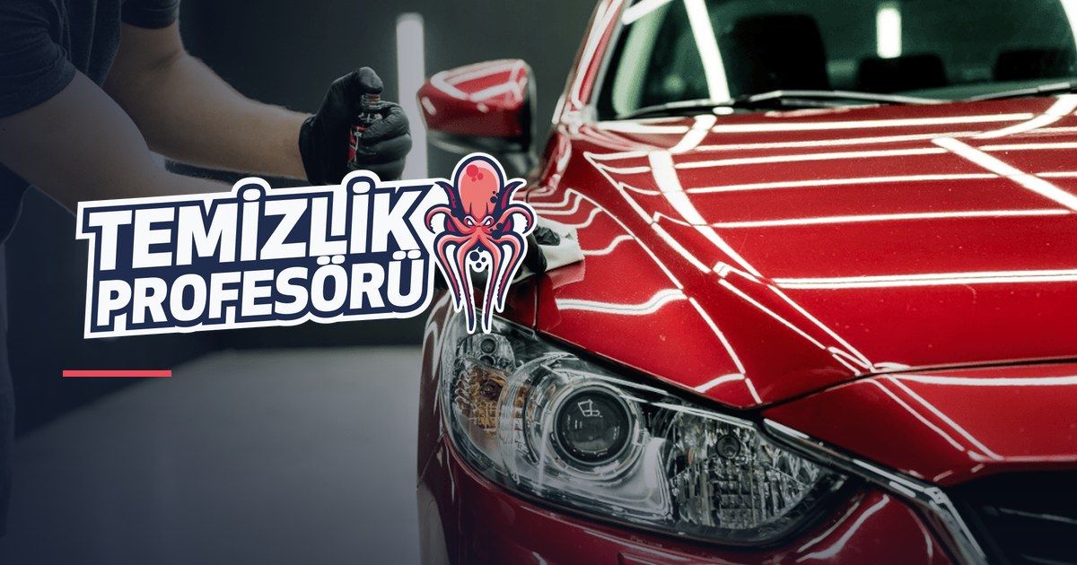 Temizlik Profesörü